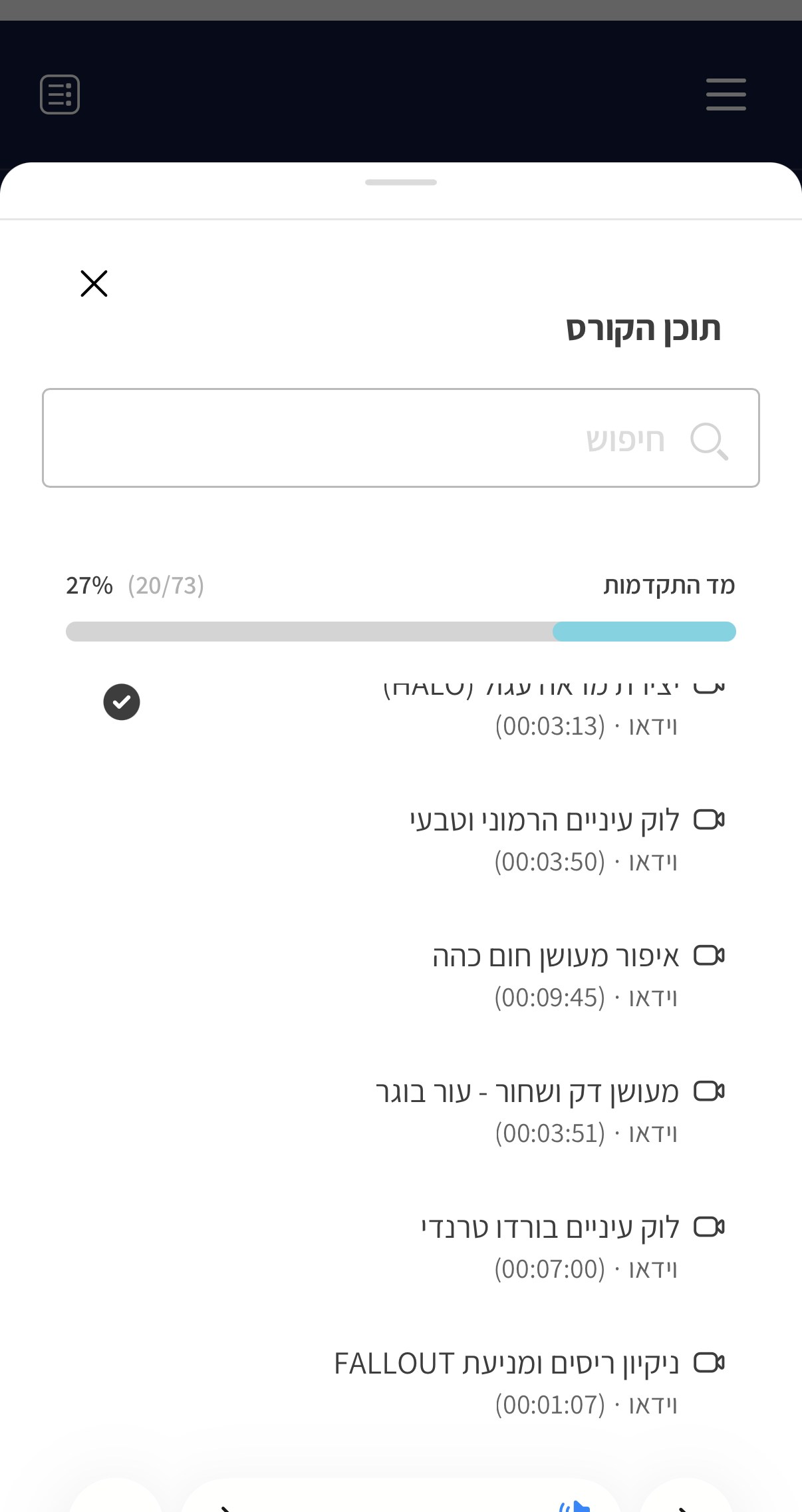 מסך אמיתי מתוך הקורס מהטלפון: סילבוס 73 השיעורים ומד ההתקדמות